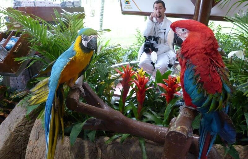 Photo with a parrot in Loro Park