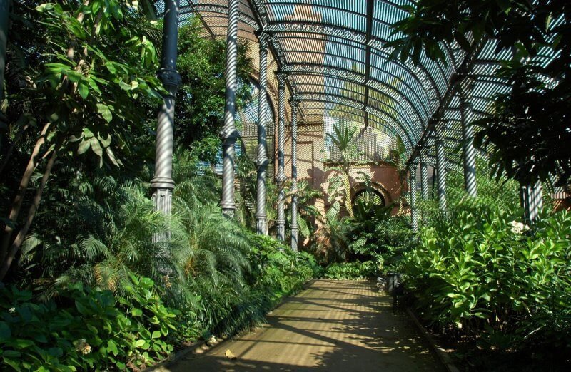 Plants in the Citadel Park