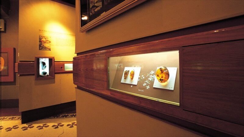 Amber Museum