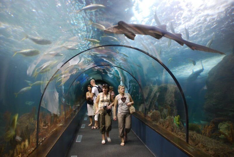 Aquarium in Loro Park