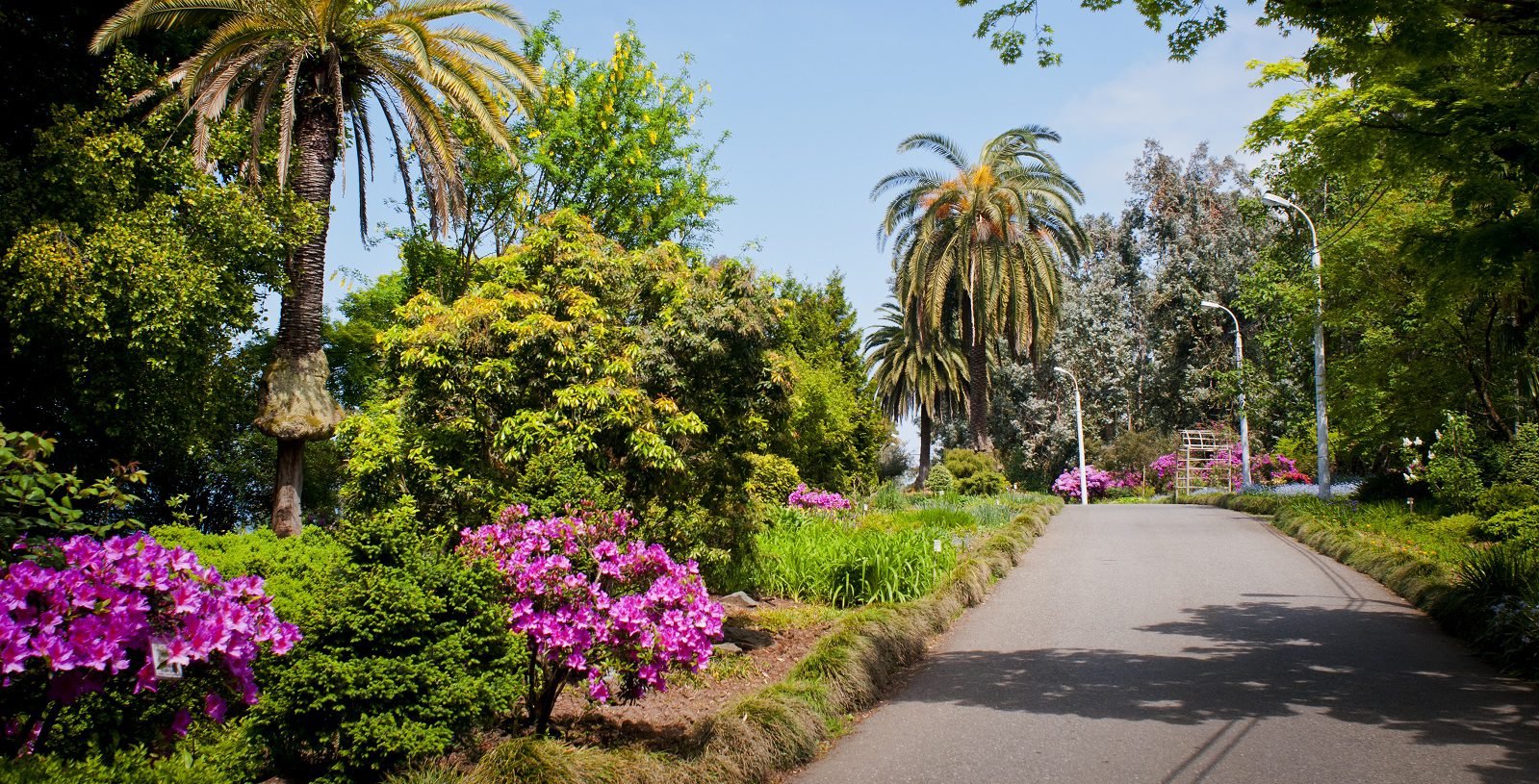 Walking along the path in the Botanical Garden of Batumi Botanical Garden