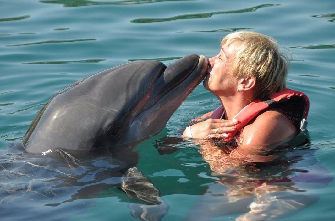 You can swim with dolphins in the dolphinarium of Marmaris You can go swimming with dolphins