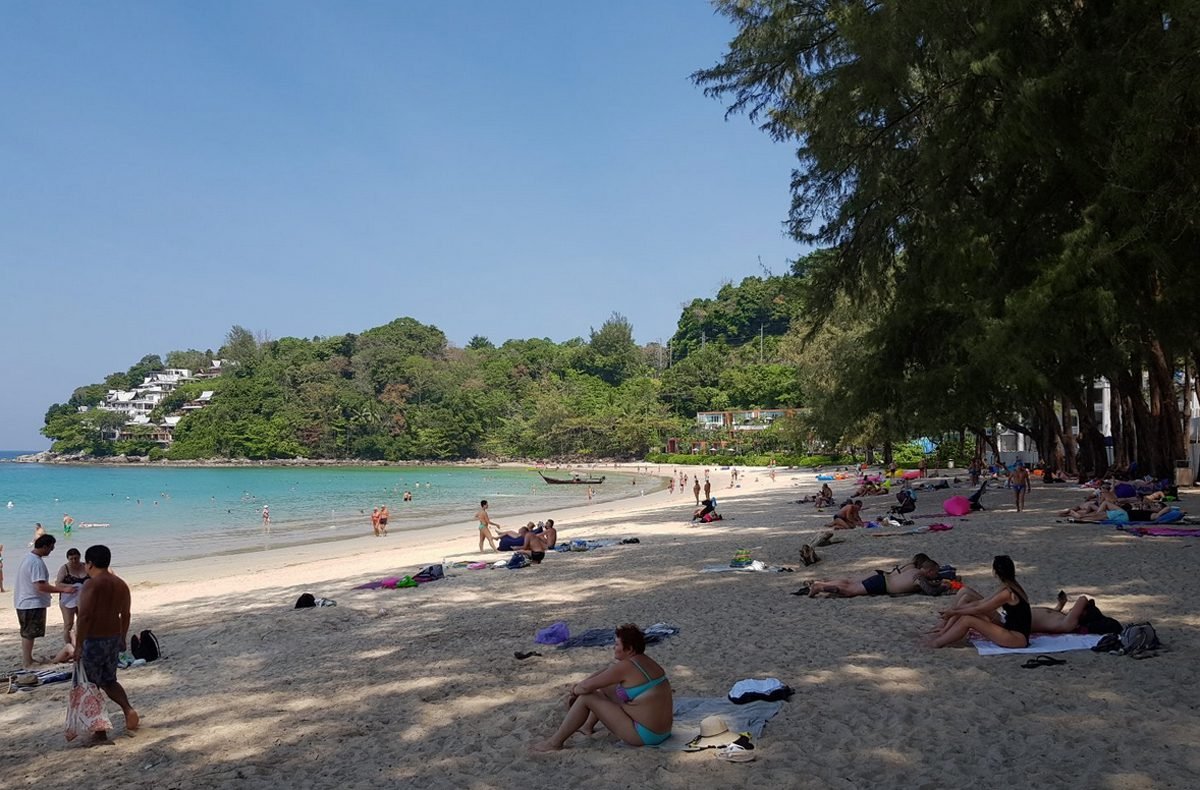 Shadow of casuarinas on Kamala Beach Thai coniferous trees grow on the shore
