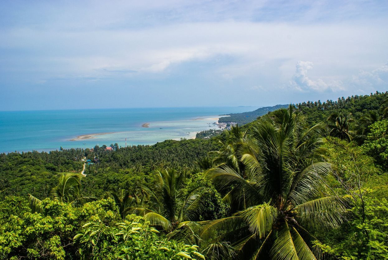 Koh Samui vegetation Koh Samui