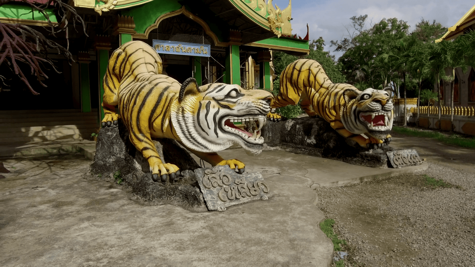 In the photo of the tiger statue at the entrance to the unfinished temple Tiger statues at the entrance to the unfinished temple
