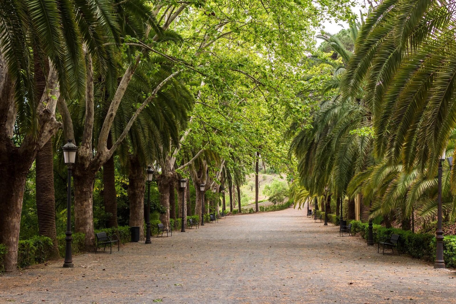 La Concepcion Botanical Garden, Malaga