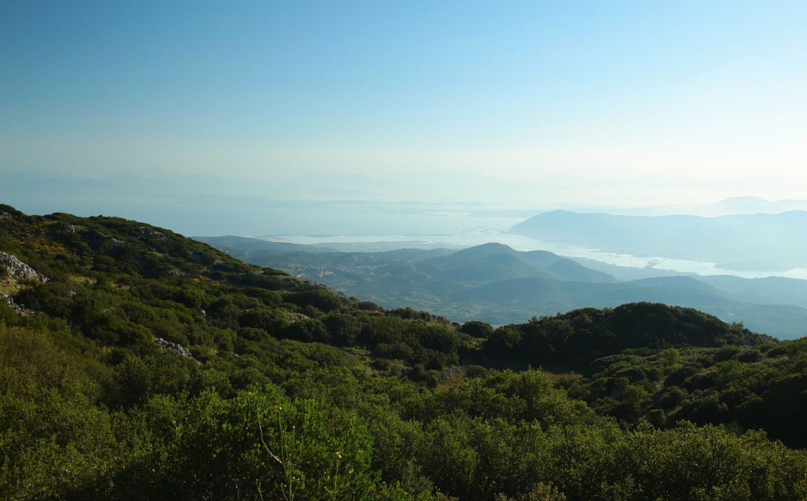 Photo of dense vegetation on Lefkada Island Dense vegetation on the island of Lefkada