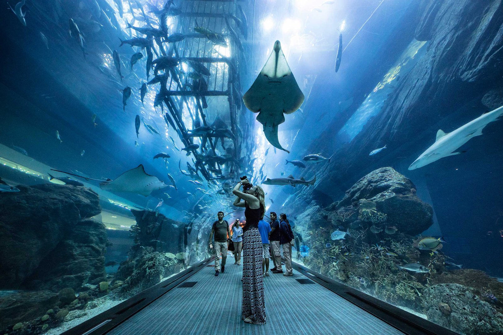 Dubai Mall Aquarium – the largest indoor aquarium in the world