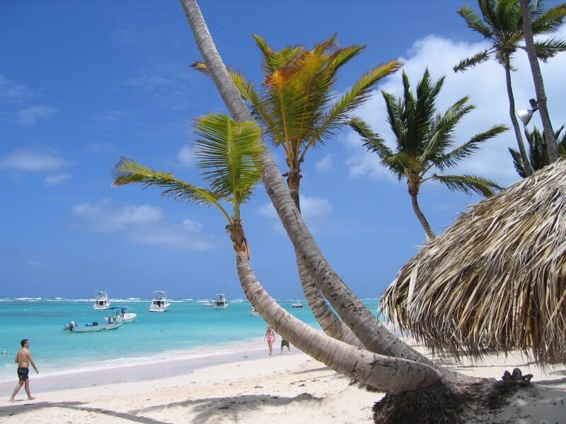 Palm trees on Bavaro beach in the Dominican Republic Palm trees on the beach of Bavaro