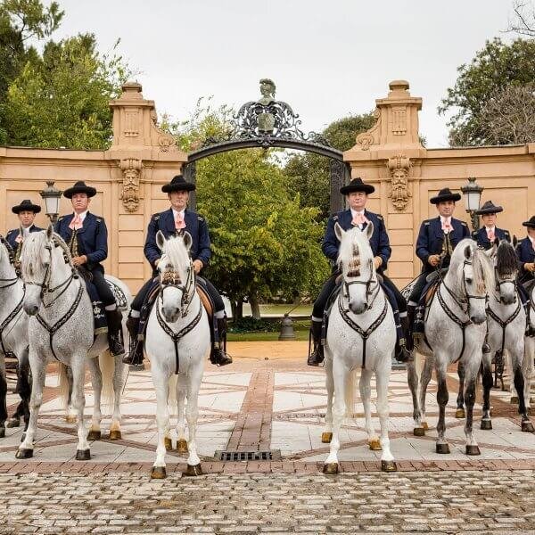 Royal Andalusian School of Equestrian Art in Spain Royal Andalusian School of Equestrian Art