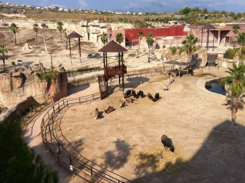 Terra Natura