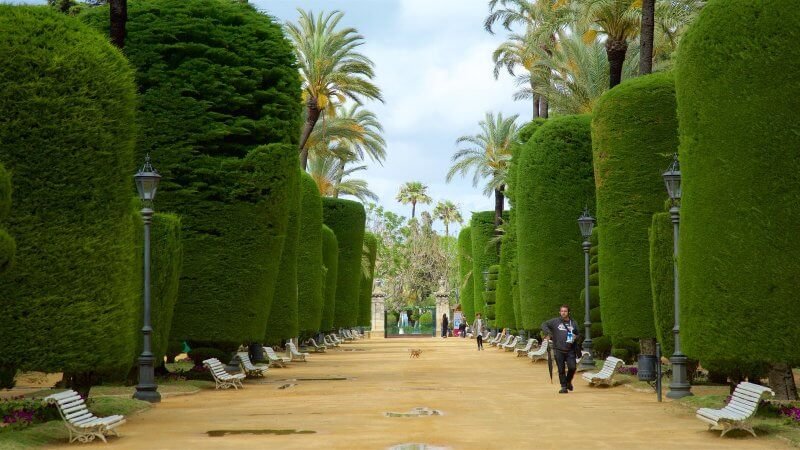 Genovez Park in Cadiz Henoves Park