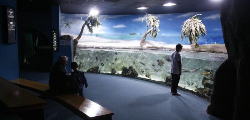 Oceanarium inside