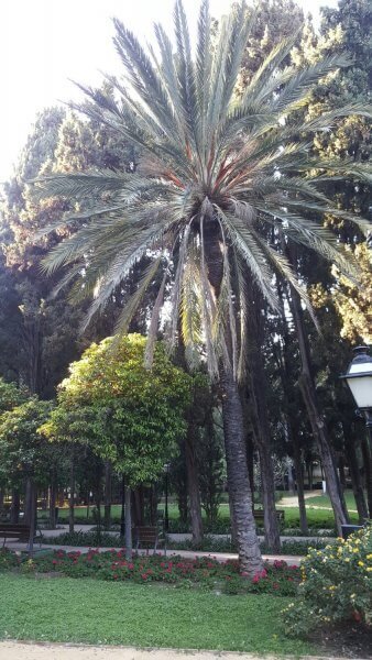 Constitution Park in Marbella, Spain Constitution Park