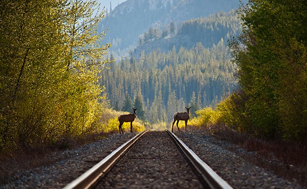 Banff National Park