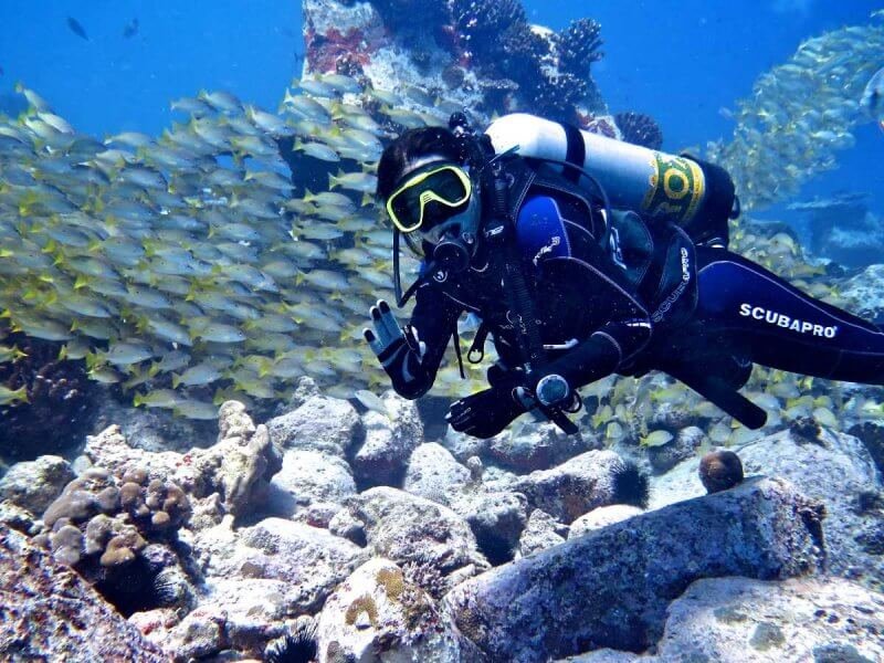 Divers in the Seychelles