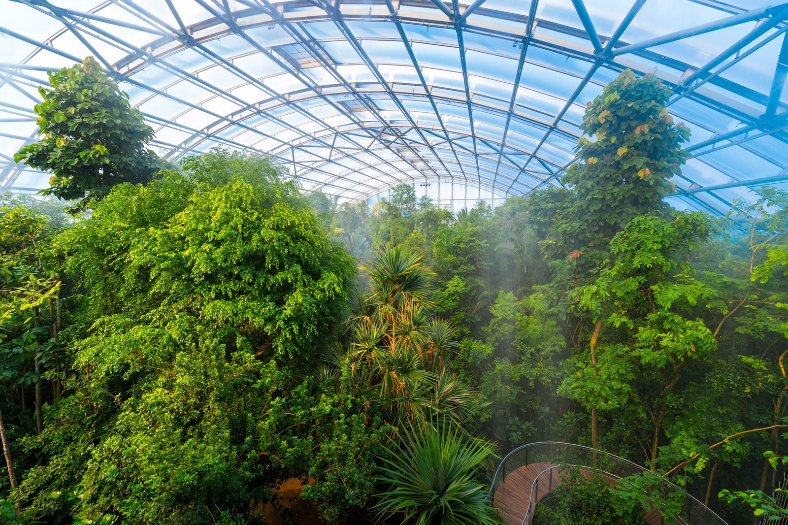 Photo in the tropical pavilion "Masoala" at Zoo Zurich In the tropical pavilion "Masoala"