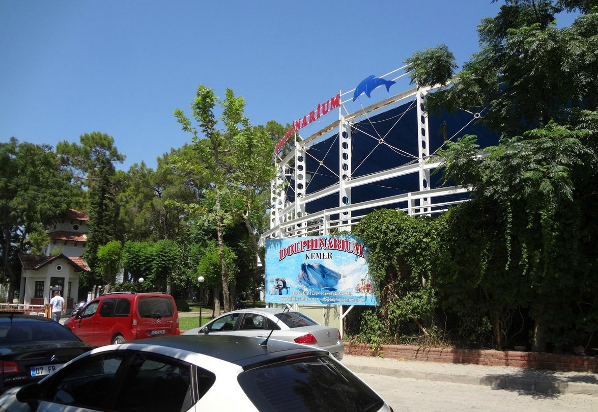 Photo of the dolphinarium on the territory of the Moonlight Park Dolphinarium in the Moonlight Park