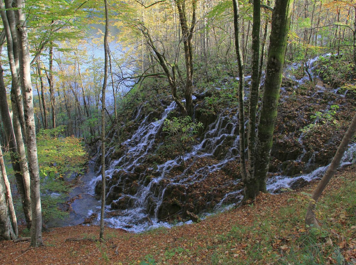 Streams and waterfalls in the forest of Plitvice Lakes Park Nature itself worked on the park