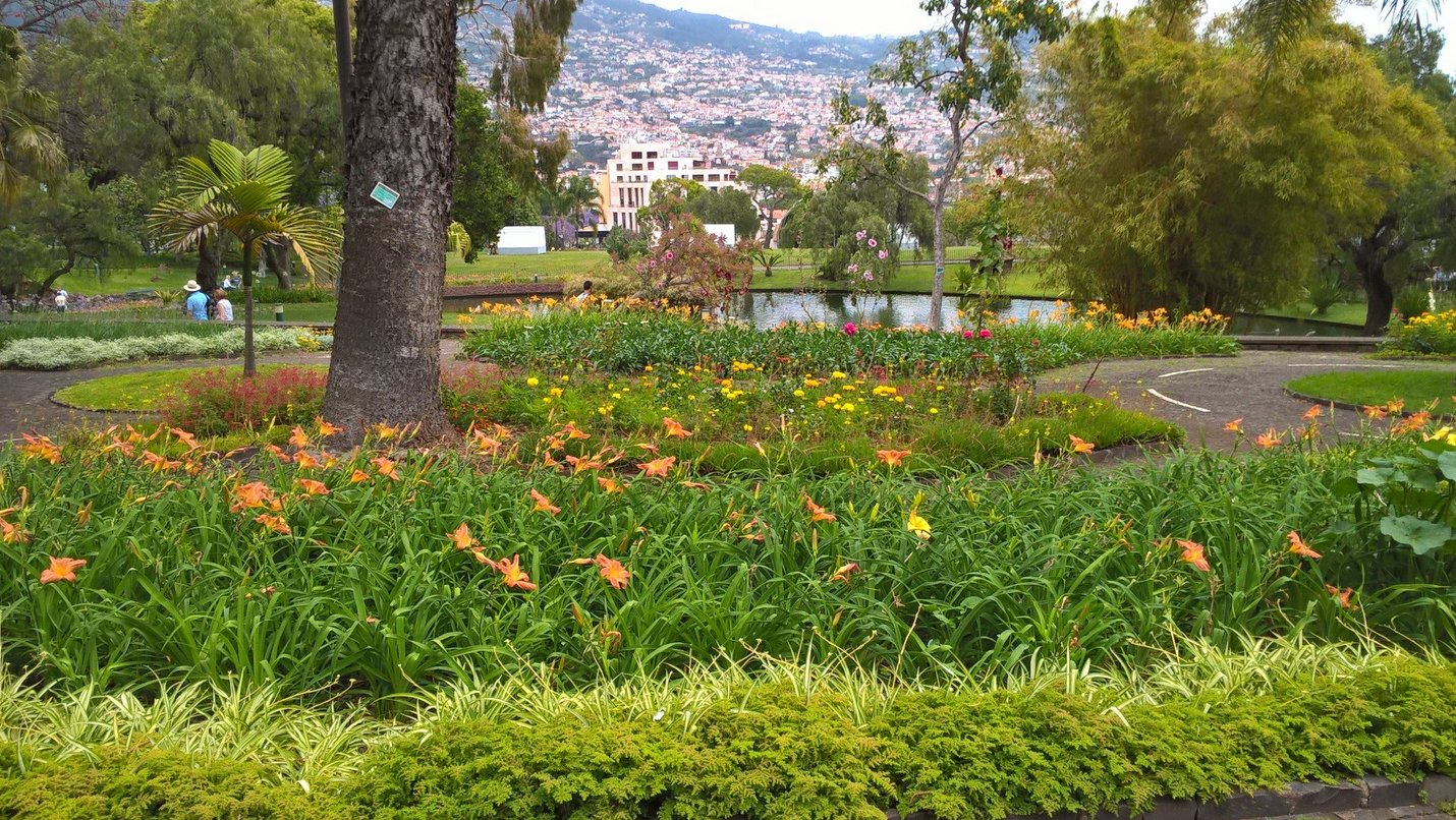 Photo of the pond in Santa Catarina Park Santa Catarina Park