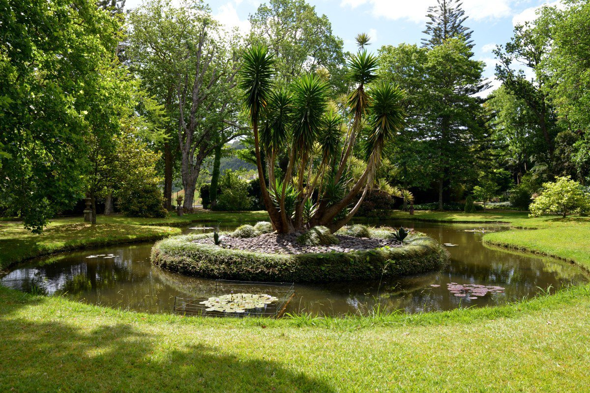 Photo in Terra Nostra Park Terra Nostra Park