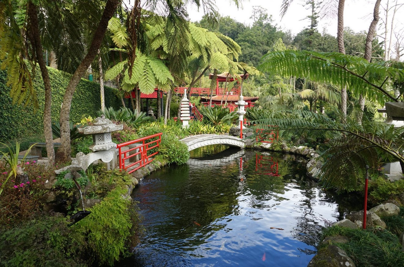 Walking through the tropical garden of Monte Palace In the tropical garden of the Monte Palace