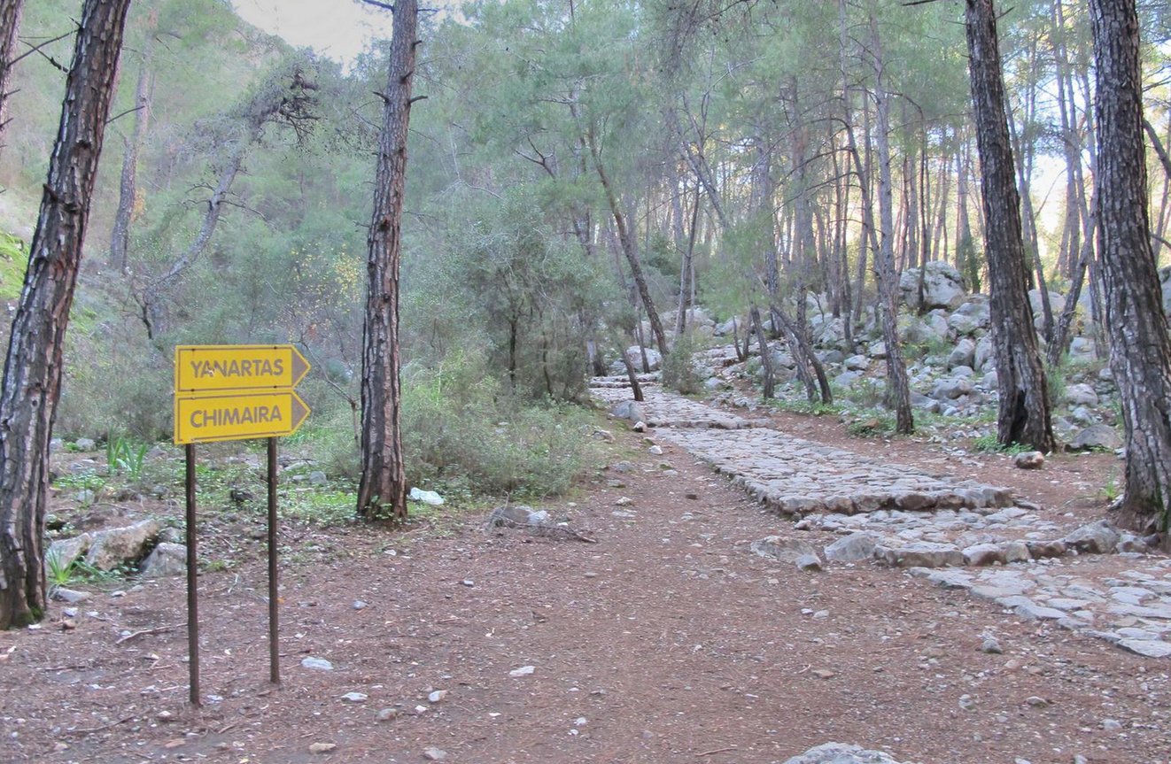 Photo of the yellow road sign to Yanartash Mountain Yanartash Mountain road sign