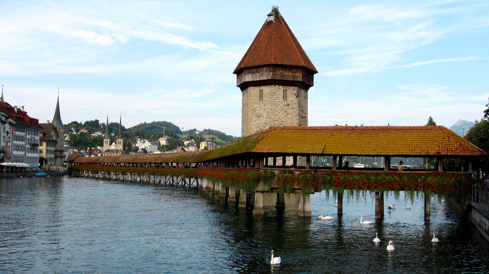 Photo of swans on the lake near the Chapel Bridge in Lucerne Chapel Bridge, Lucerne