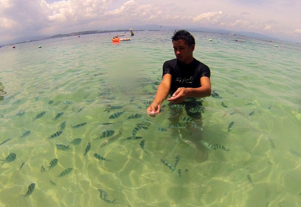 Fish can be seen in the clear sea in Tunku Abdul Rahman Park Tunku Abdul Rahman Park's Clear Sea