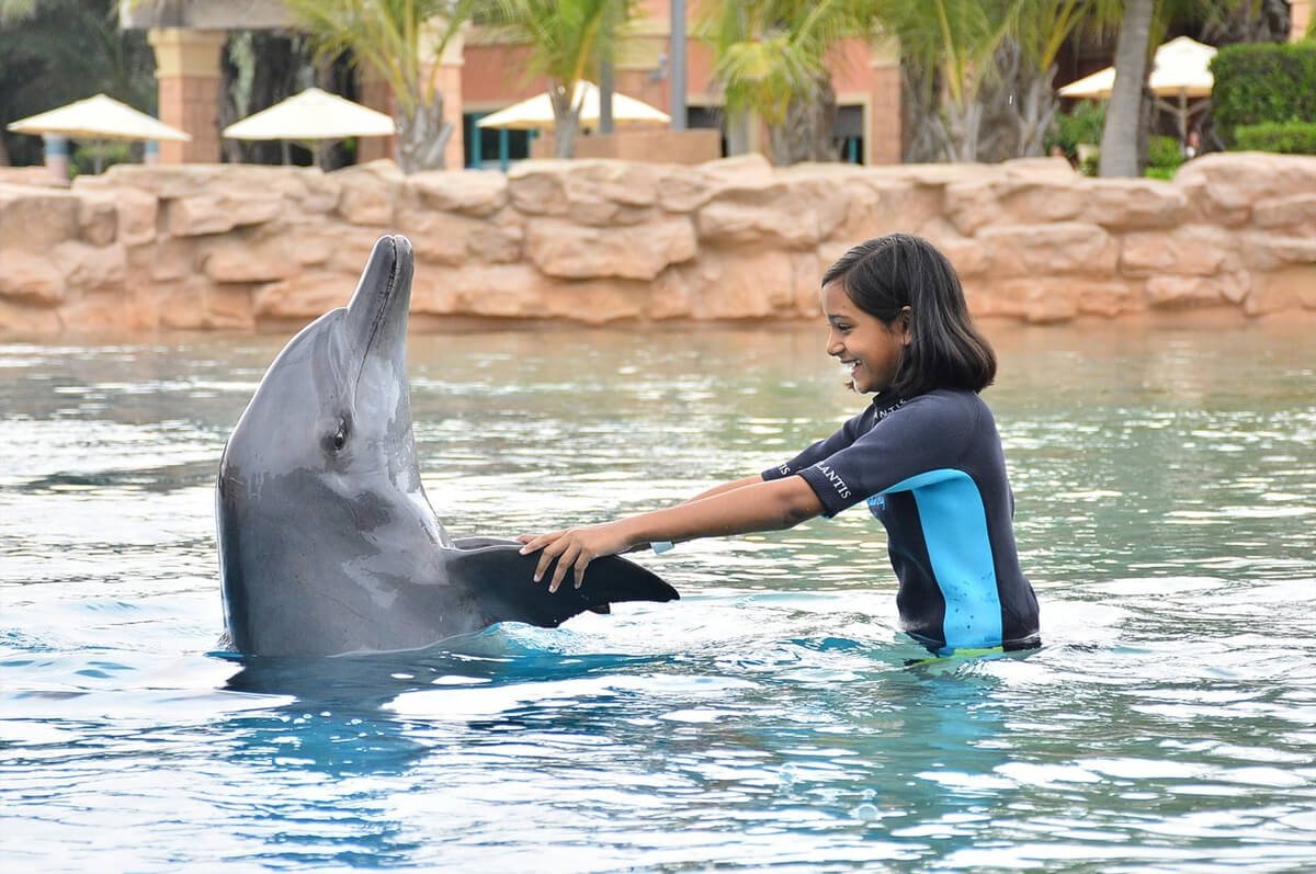 Dolphin Discovery Program