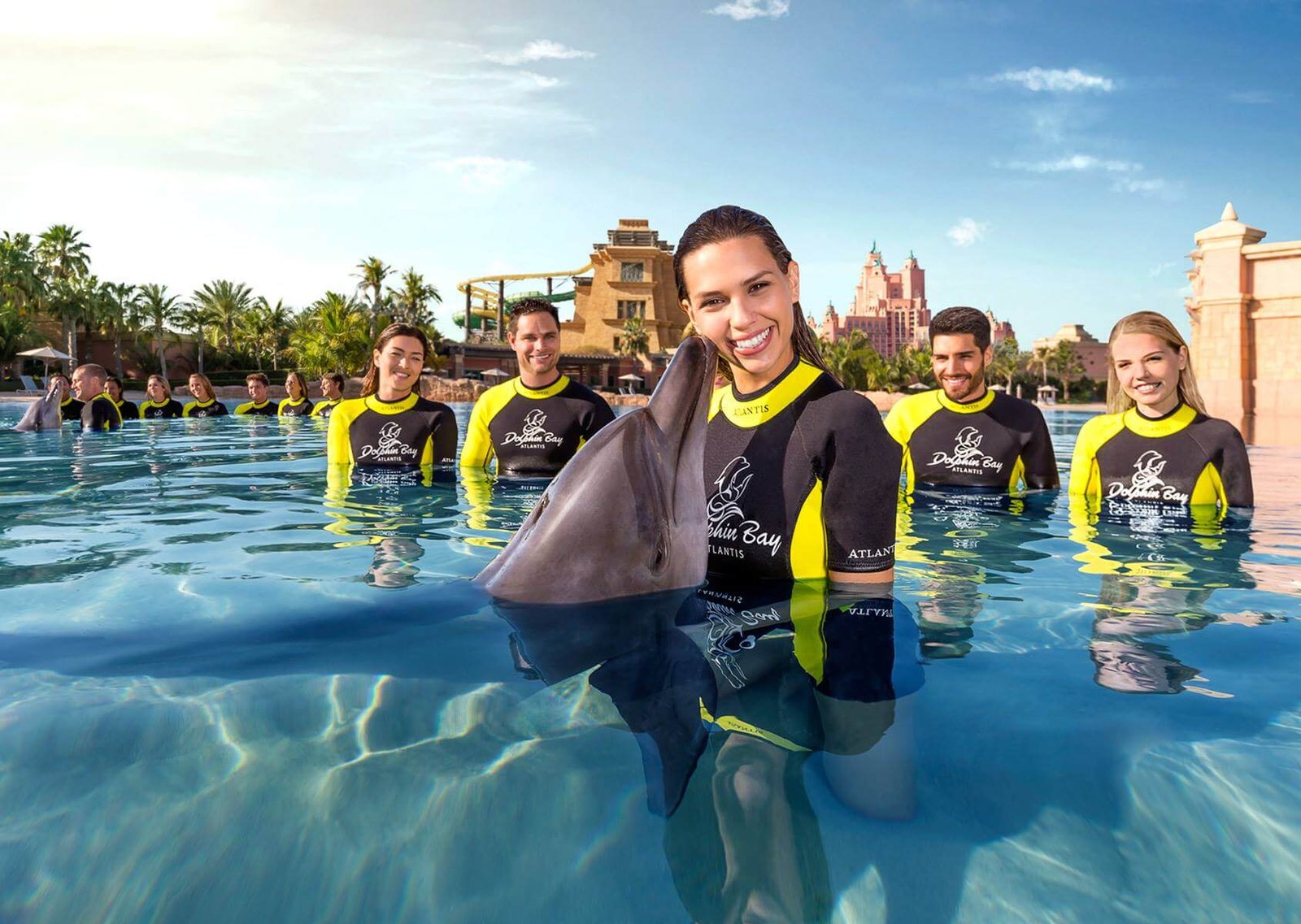 Dolphin Bay в Atlantis The Palm Getting to know dolphins