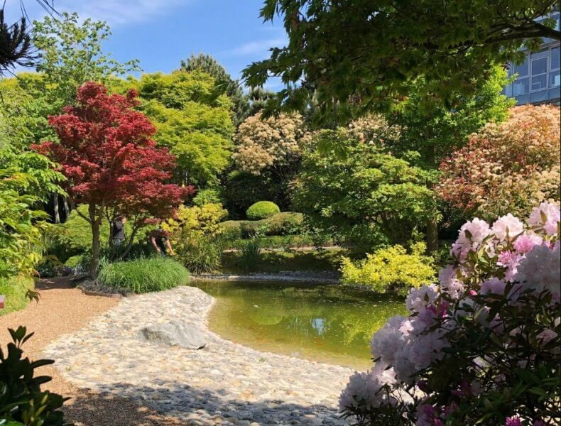 Photo: Japanese Garden in Le Havre