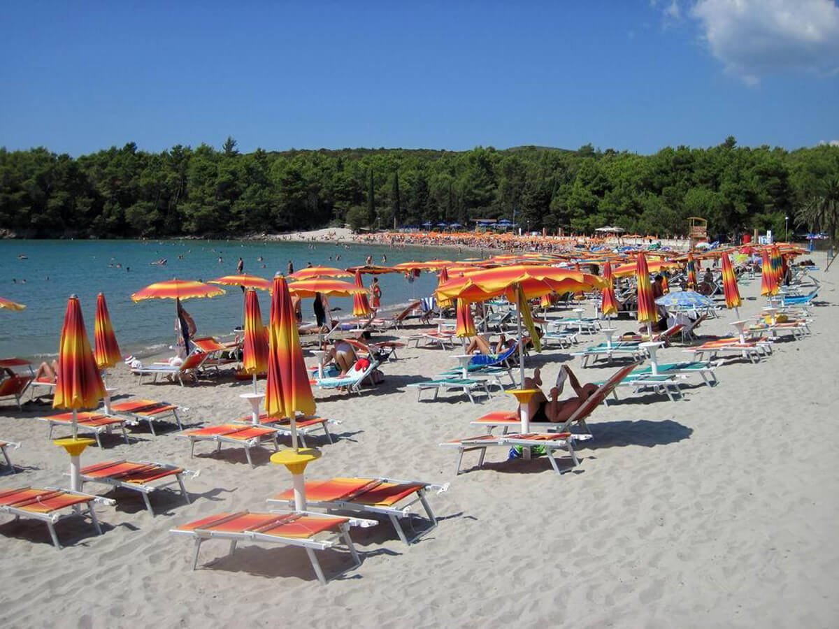 Sun beds and umbrellas