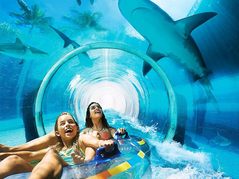 Going down the Shark Attack slide, you can see marine predators Shark Attack Slide