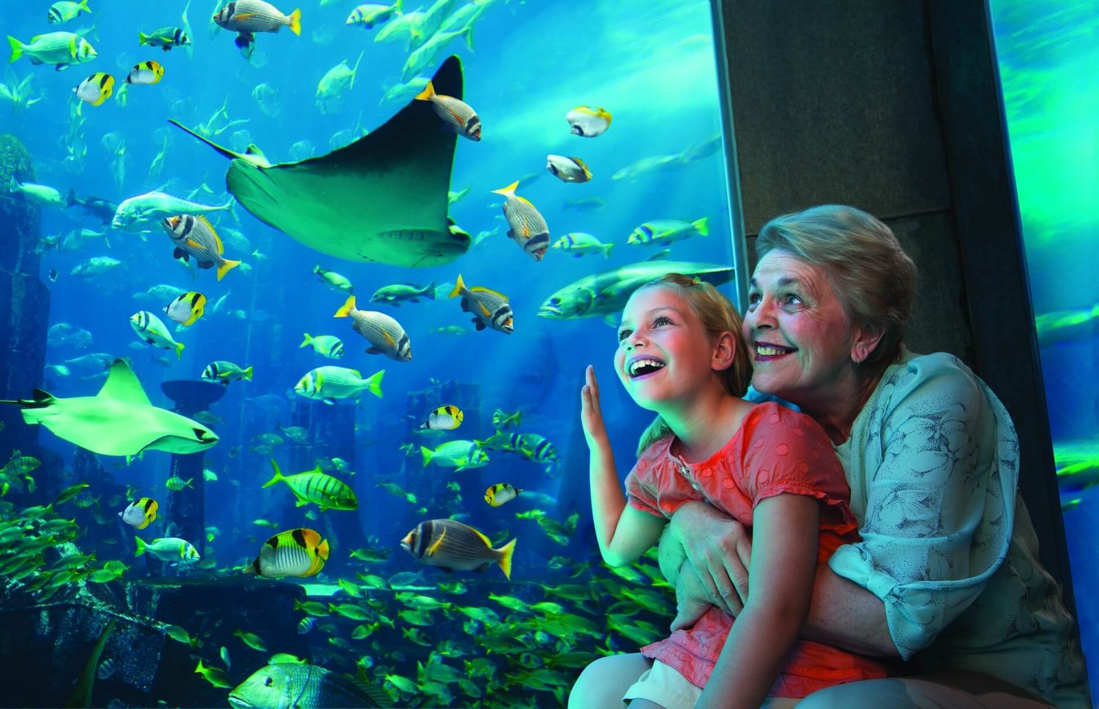 Photo of The Lost Chambers Aquarium at Atlantis The Palm Hotel The Lost Chambers Aquarium
