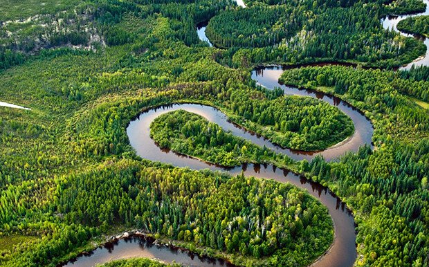 Wood Buffalo National Park