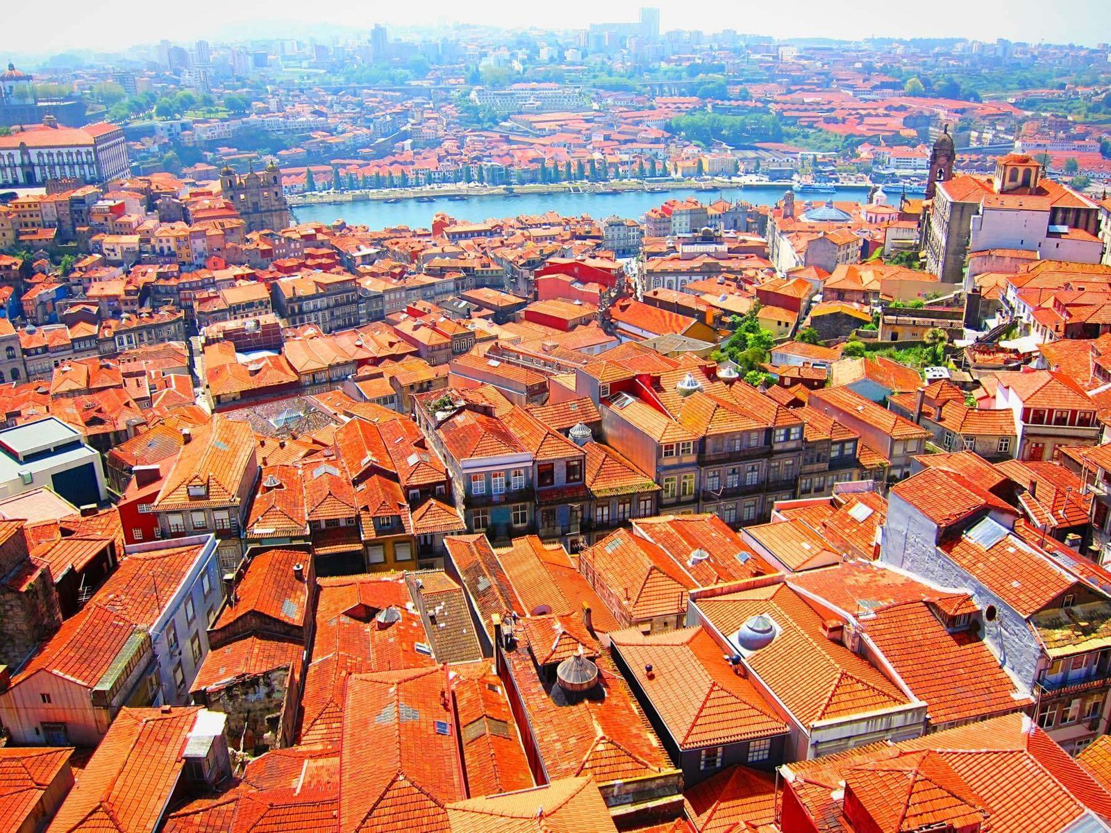 Photo of the red roofs of Porto Red roofs of Porto