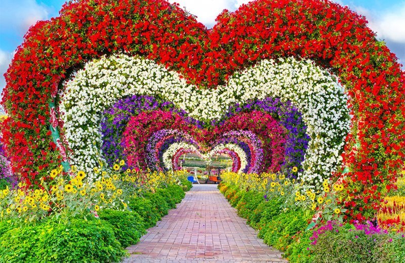 Flower Arch