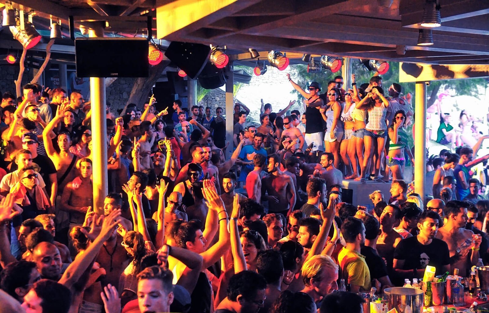 Photos of the Super Paradise Beach Party Super Paradise Beach Party