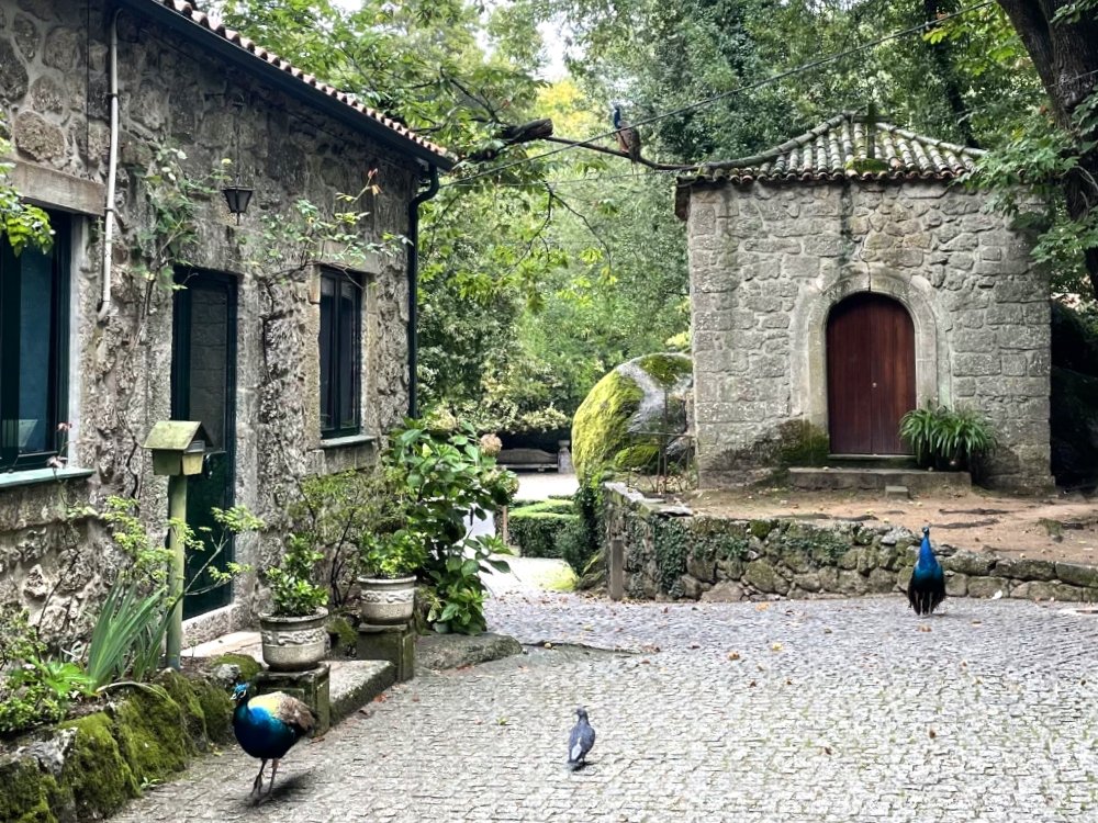 Medieval Viseu-capital of the Dau wine region