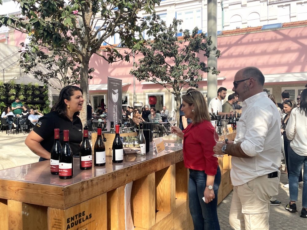 Medieval Viseu-capital of the Dau wine region