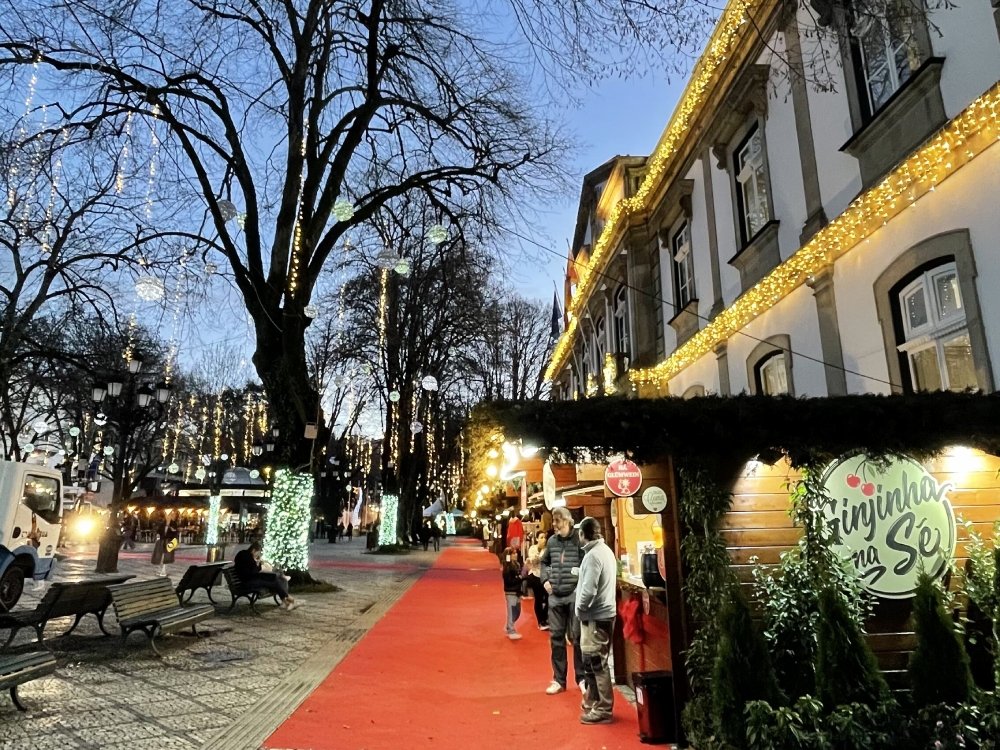 Medieval Viseu-capital of the Dau wine region