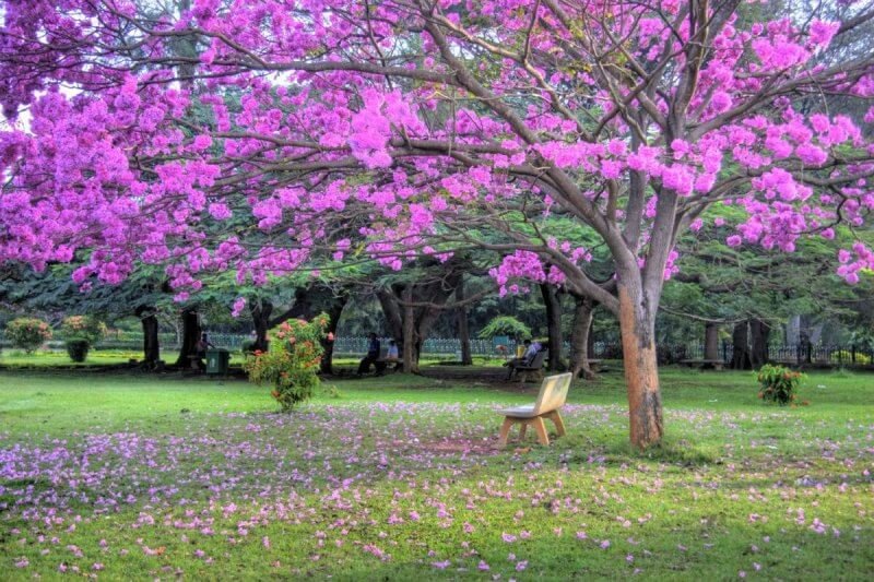 Kubbon Park