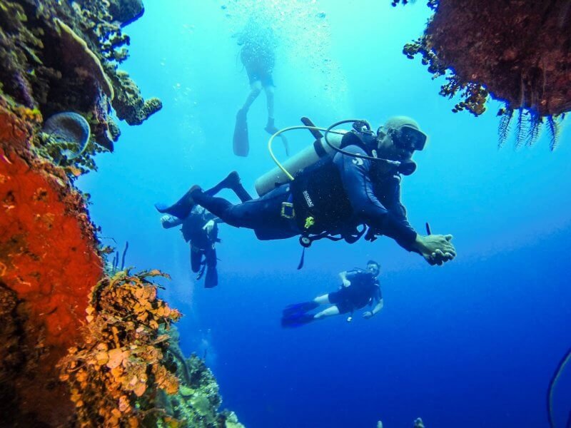 Catalina Island Diving Experience