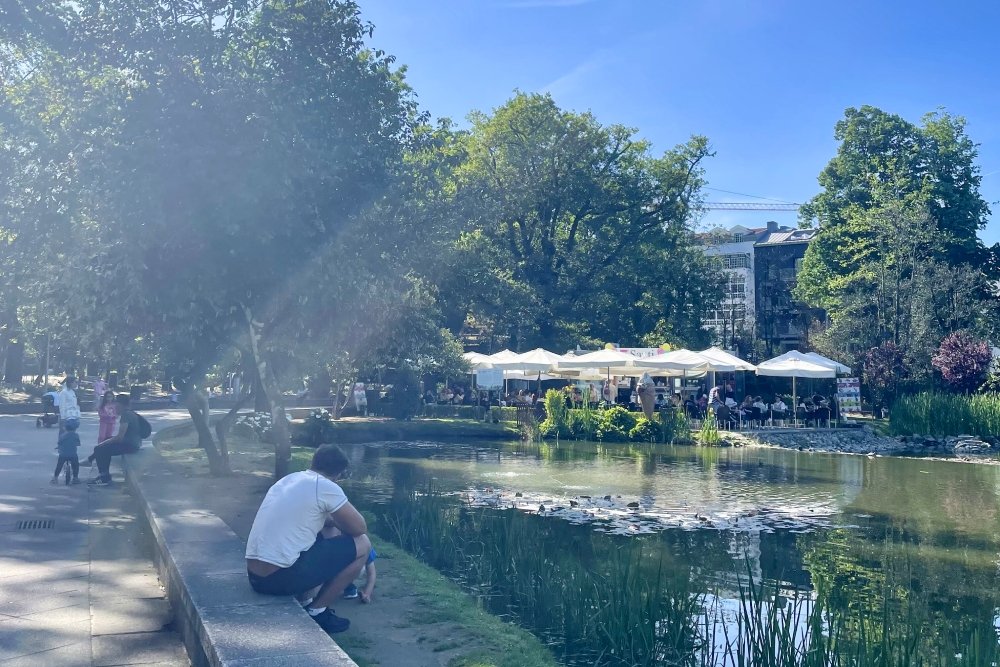 Medieval Viseu-capital of the Dau wine region