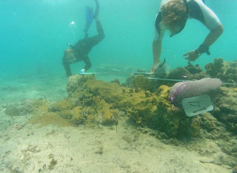 Kidd the Pirate Underwater Museum