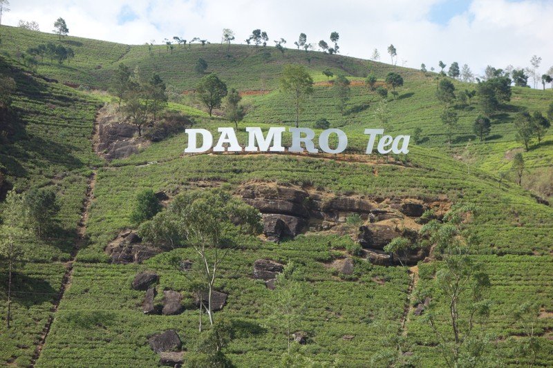 Photo signage at Damro tea Plantation in hollywood style, Nuwara Eliya, Sri Lanka Damro Tea Factory (Macwoods)