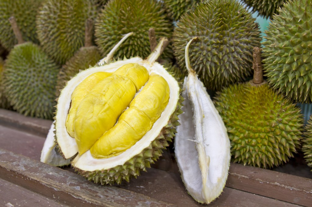 Half-peeled durian fruit Photo: exotic durian