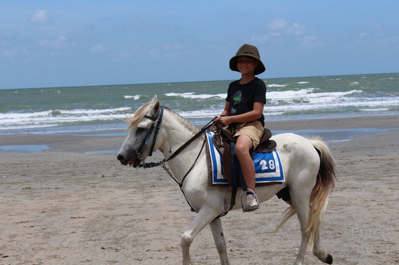 Boy rides horse on Khao Takiab beach Horse riding is also available