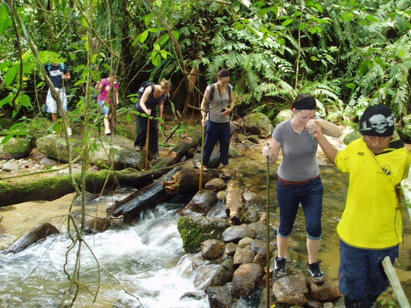 Pangkor Island Jungle Hike Jungle Hike
